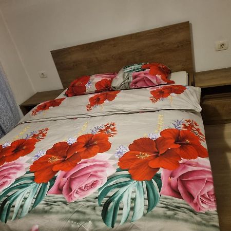 Caci Črni Kal Exterior foto